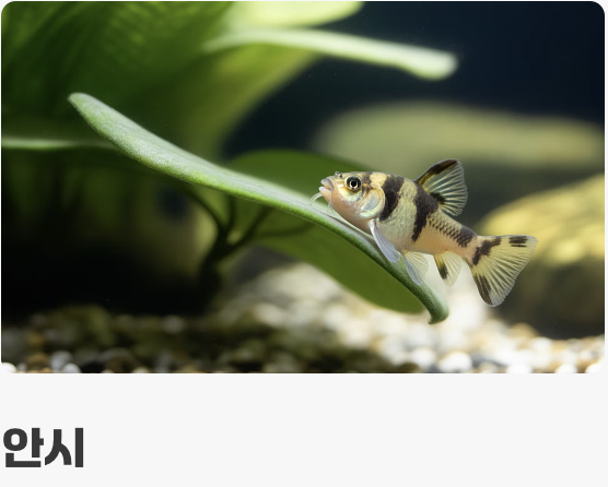 평화를 사랑하는 &amp;#39;최고의 룸메이트&amp;#39;