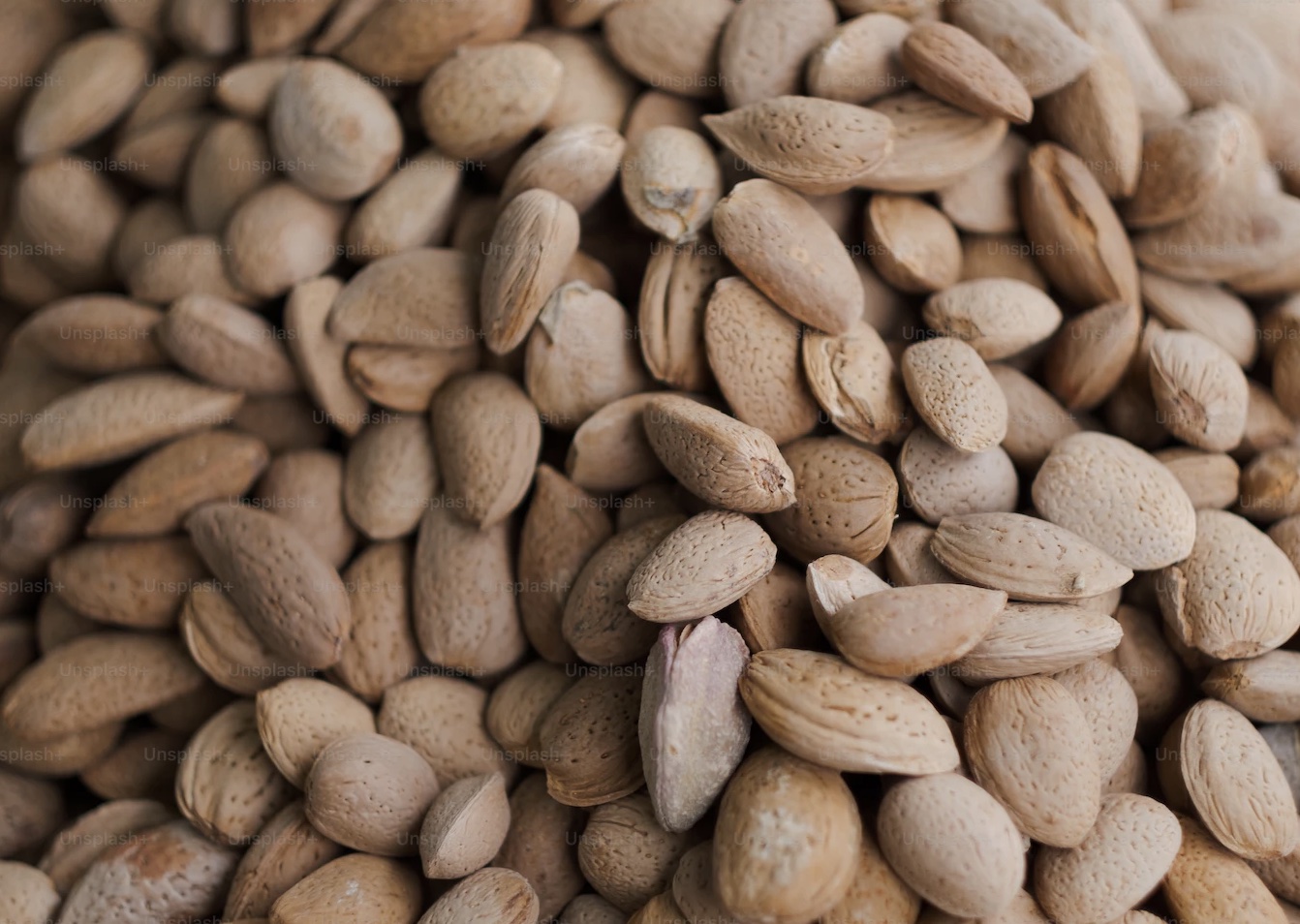 연자육 효능 먹는법 어디에 좋은가?