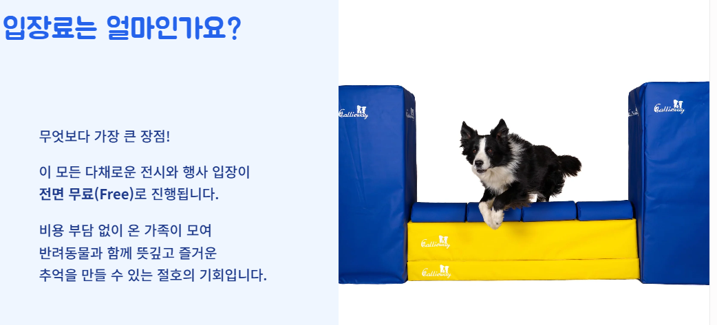 대한민국 펫캉스 구미코