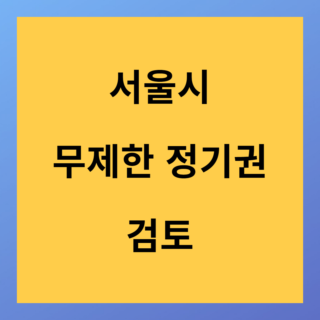 서울시 무제한 정기권 검토중