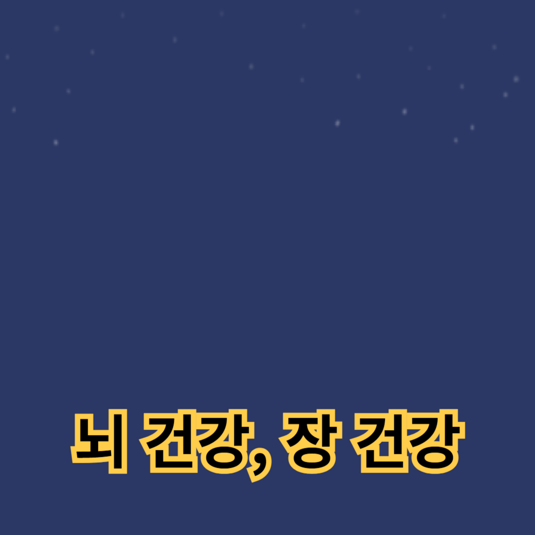 뇌를 젊게, 장을 건강하게! 장-뇌 축을 위한 완벽한 식단 계획