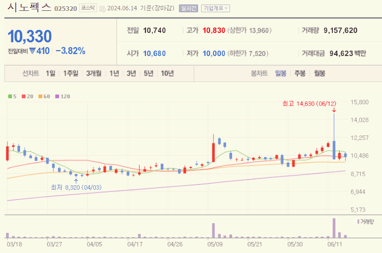 시노펙스 주가 전망 배당금 목표주가 분석