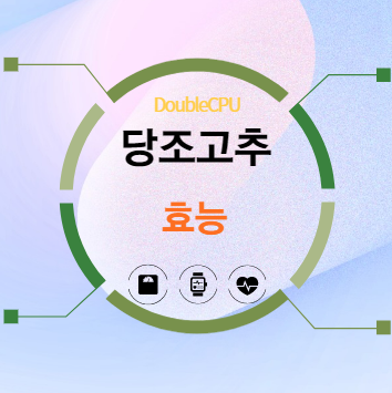 당조고추 효능 탐구