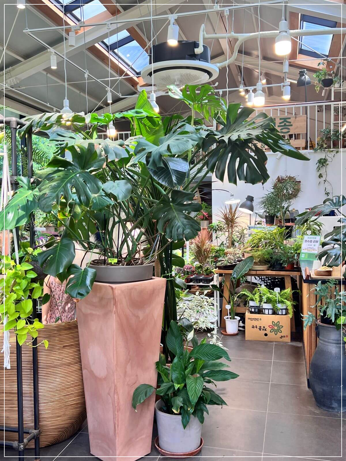 양평-숲속-서종-카페의-다양한-식물들로-꾸며진-인테리어-모습