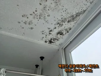 장마철 곰팡이 제거방법 꿀팁 정리 완벽 가이드_25