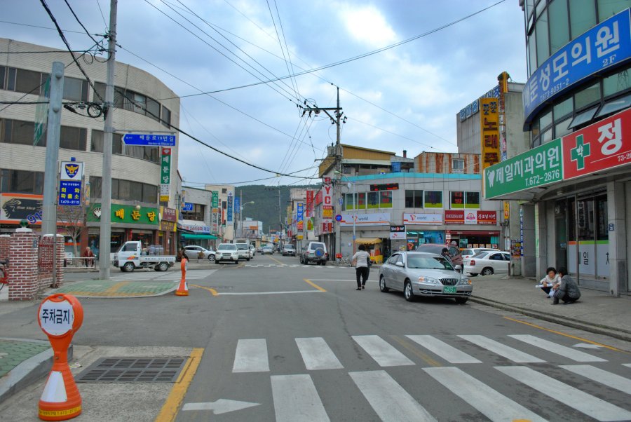 고성군 회화면 배둔리 마을 풍경