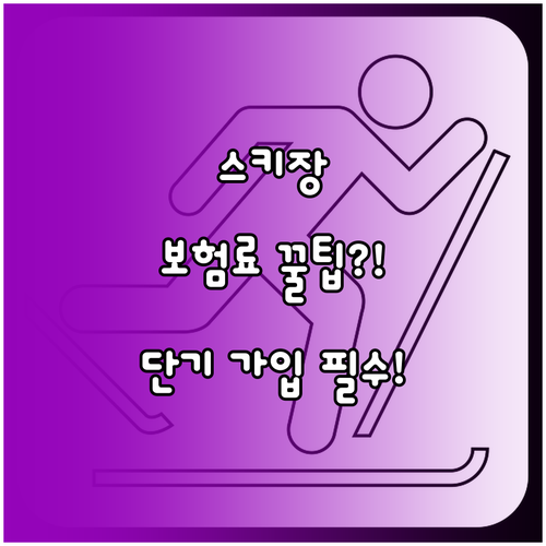 2025년 한화 스키장 상해보험 단기..