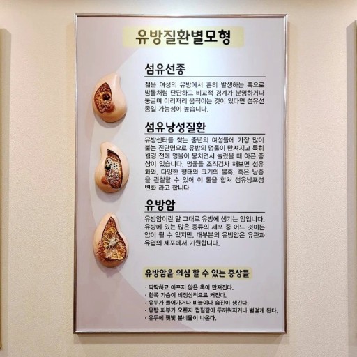 유방 섬유선종 수술, 절제과정, 관리법및 필요성, 중요성