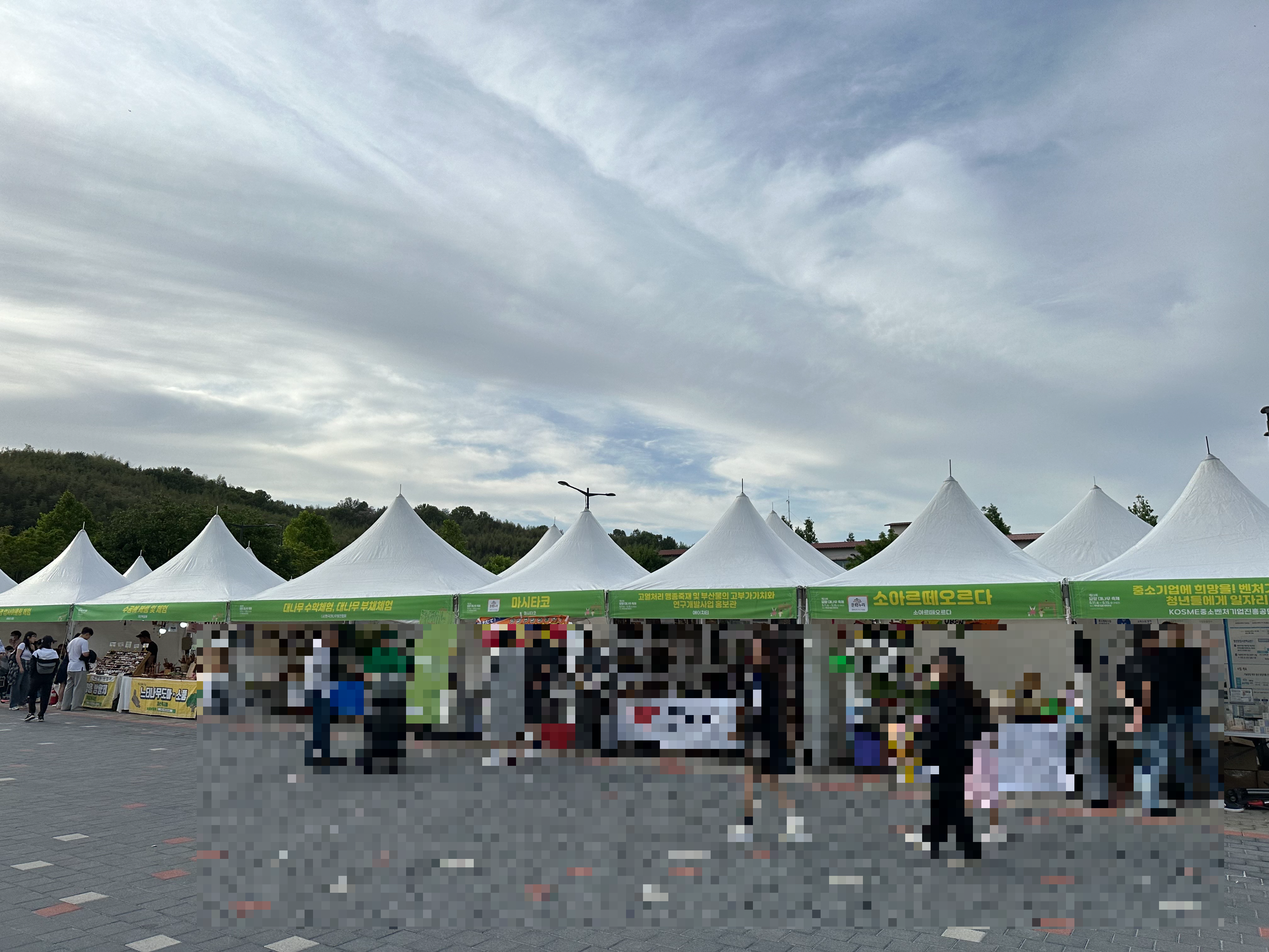 담양 대나무 축제