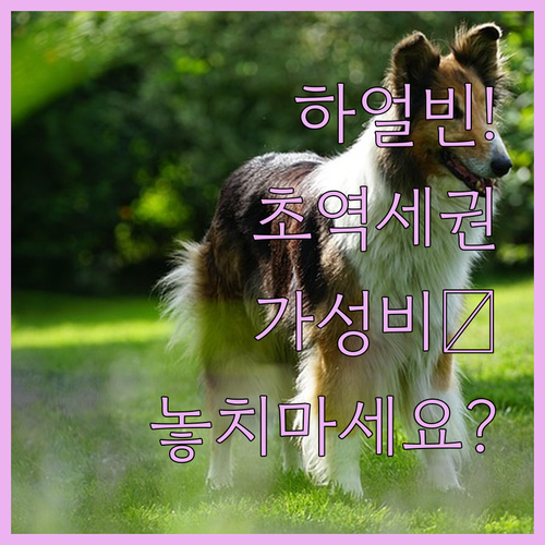 하얼빈 여행 초역세권 장베이 대학타운..