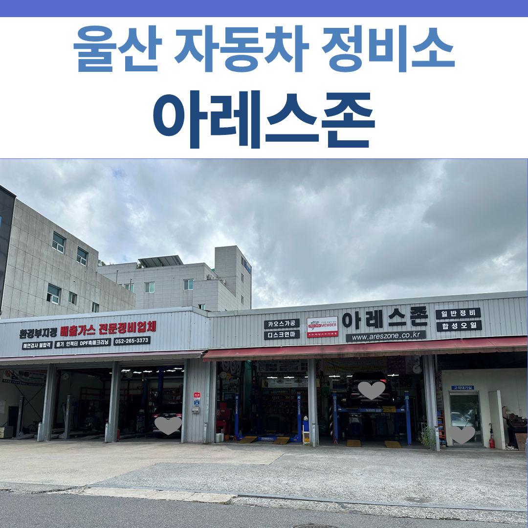 아레스존 썸네일