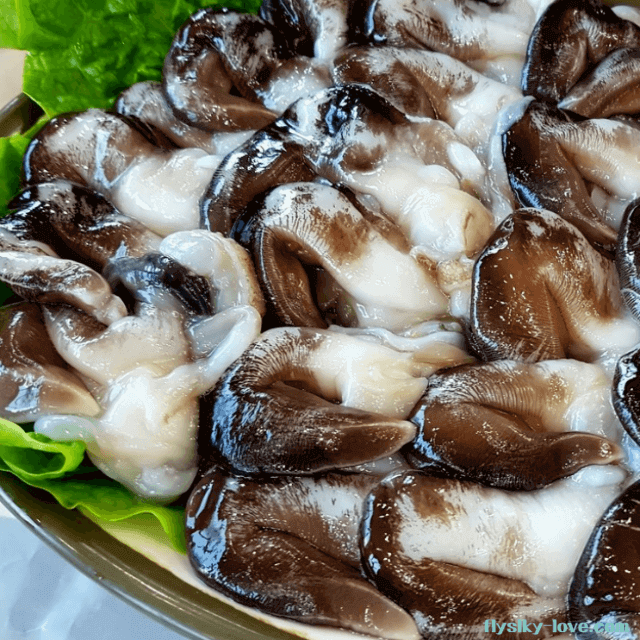 단맛이 풍부한 초코새조개