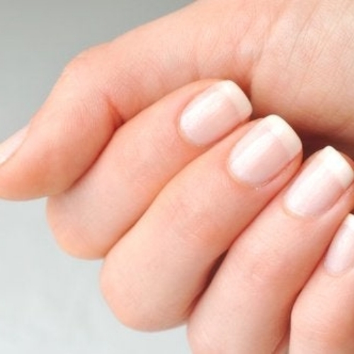 비오틴 효능 손발톱 건강유지