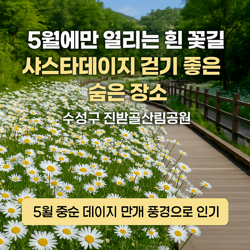 진밭골산림공원 샤스타데이지