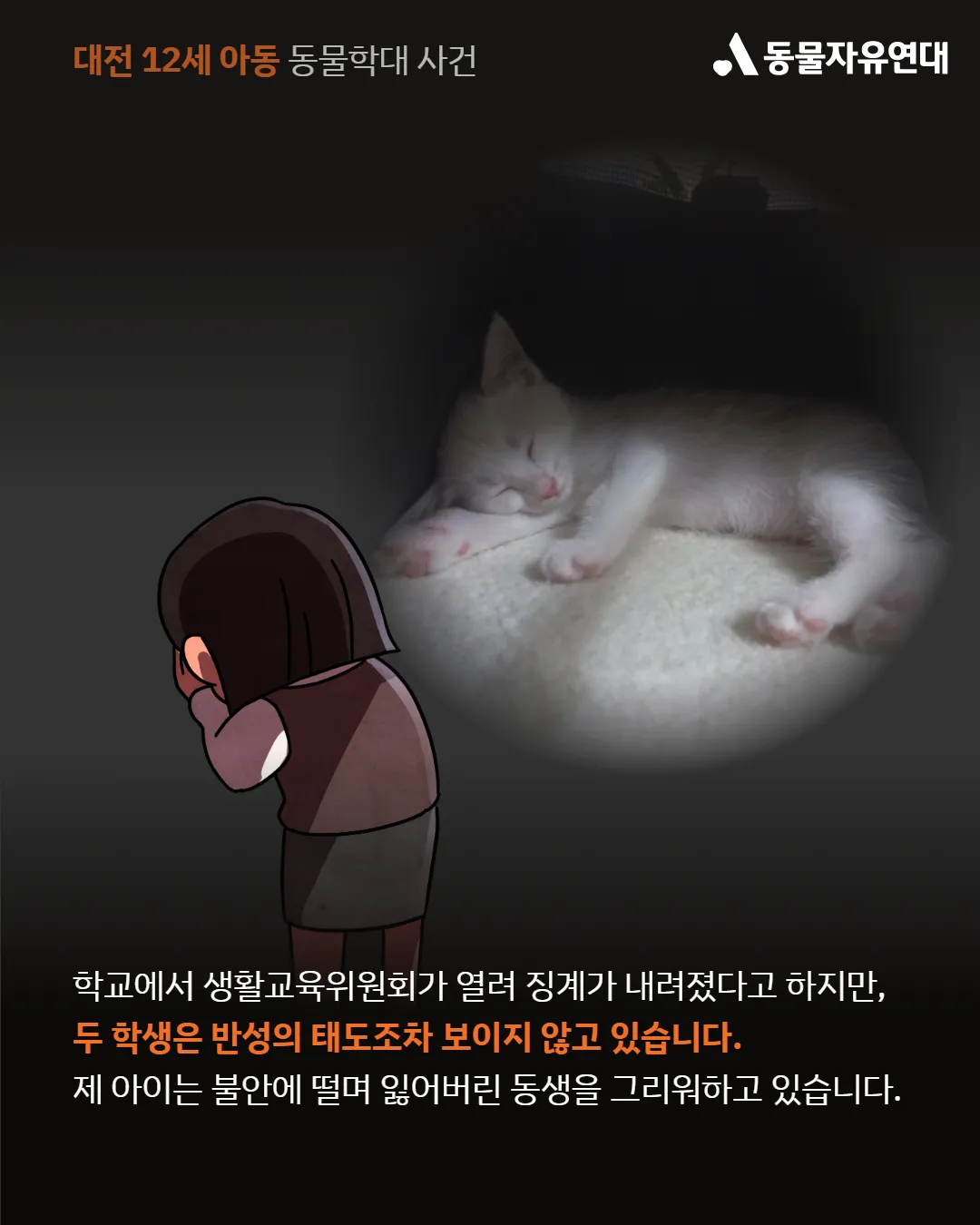 대전 고양이 딱밤