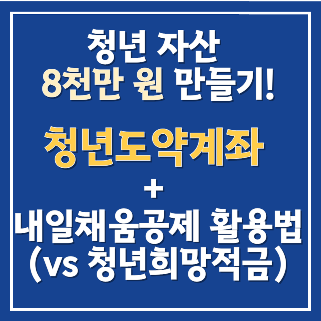 청년 자산 8천만 원 만들기! 청년도약계좌 + 내일채움공제 활용법(vs 청년희망적금)