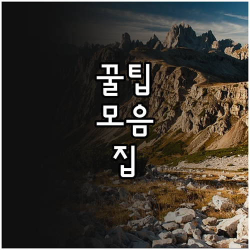 2025 과천시 산모 신생아 전문 돌..