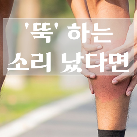 종아리-근육파열-증상