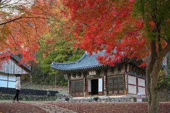 공주 가볼만한곳 맛집 카페 추천 실내 사진 명소_10