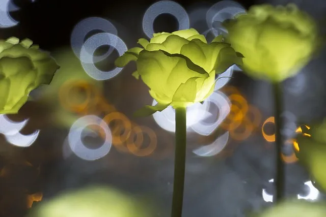 울산 가볼만한곳 베스트 10 여행 명소_6