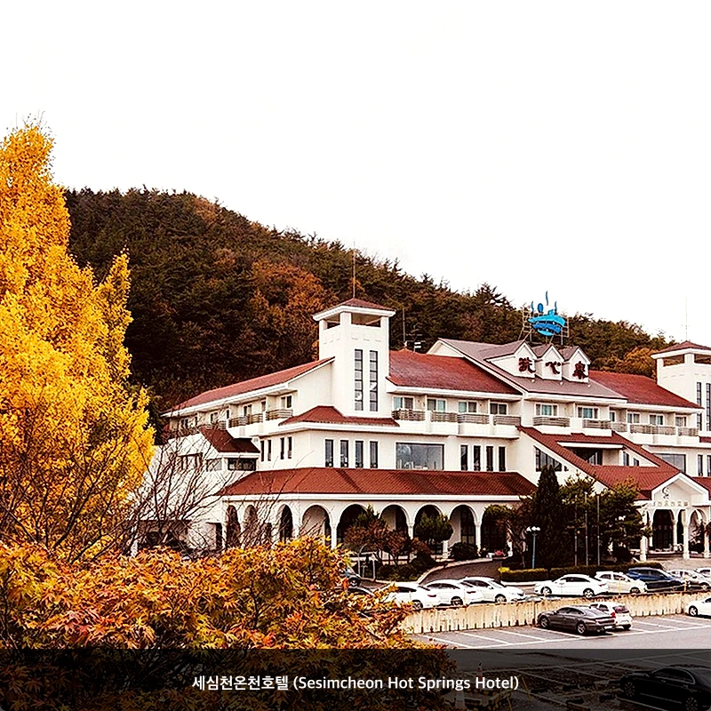 세심천온천호텔 (Sesimcheon Hot Springs Hotel)_5