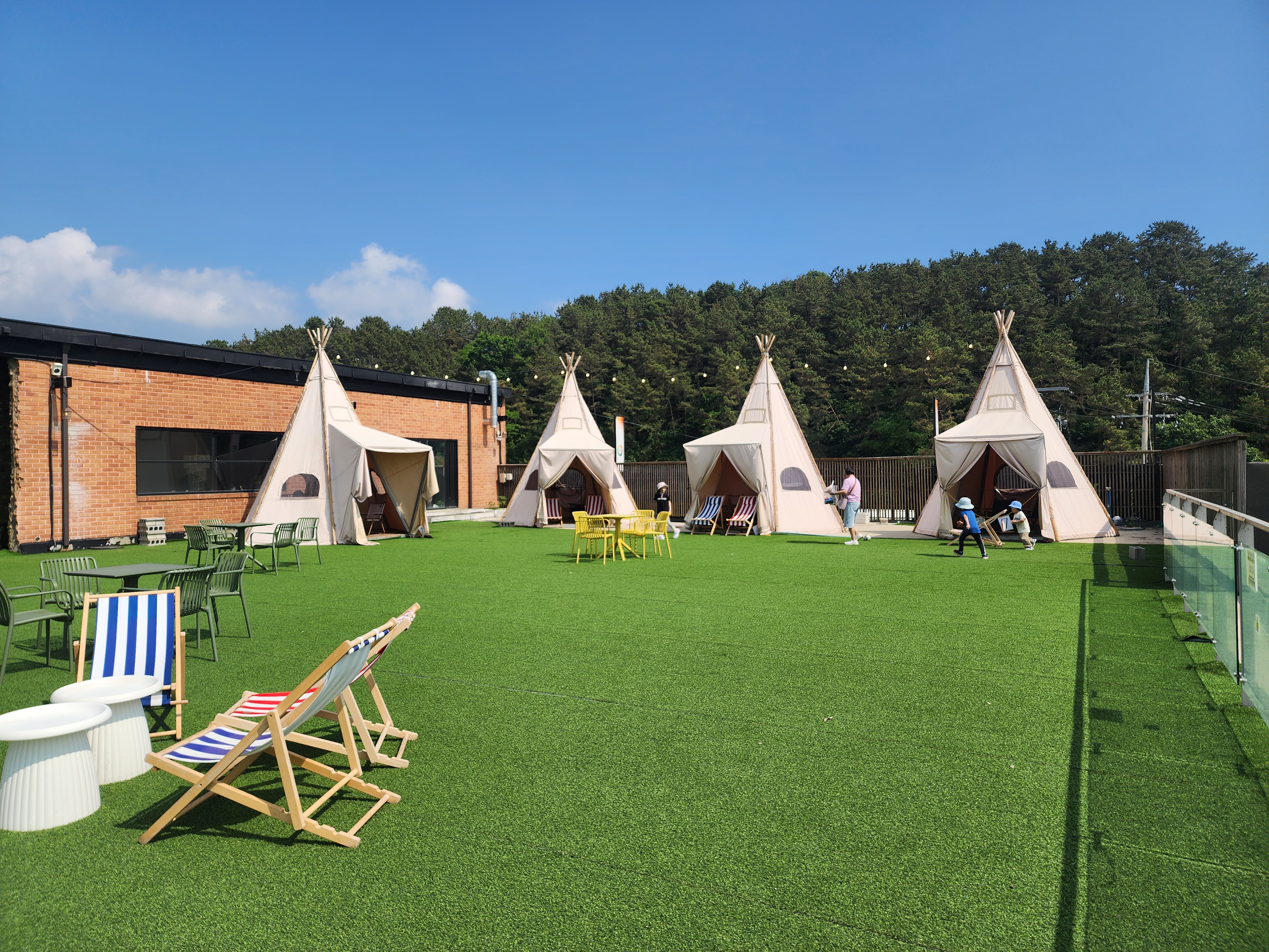 바리루스 in 파주