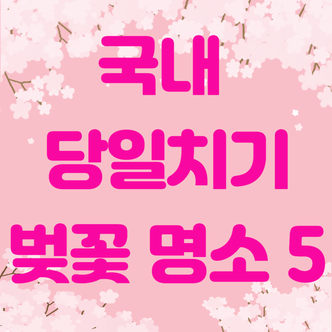 국내 당일치기 벚꽃 명소 5곳