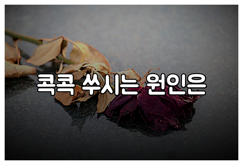 콕콕 쑤시는 원인은