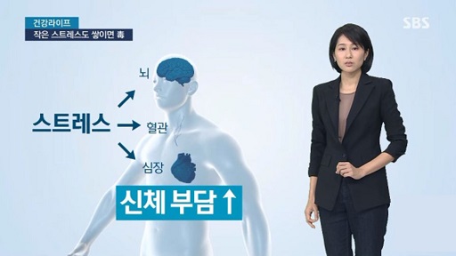 글의 이해를 돕기 위한 스트레스와 건강 관련 이미지