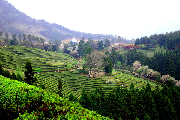 힐링 여행 관련 사진