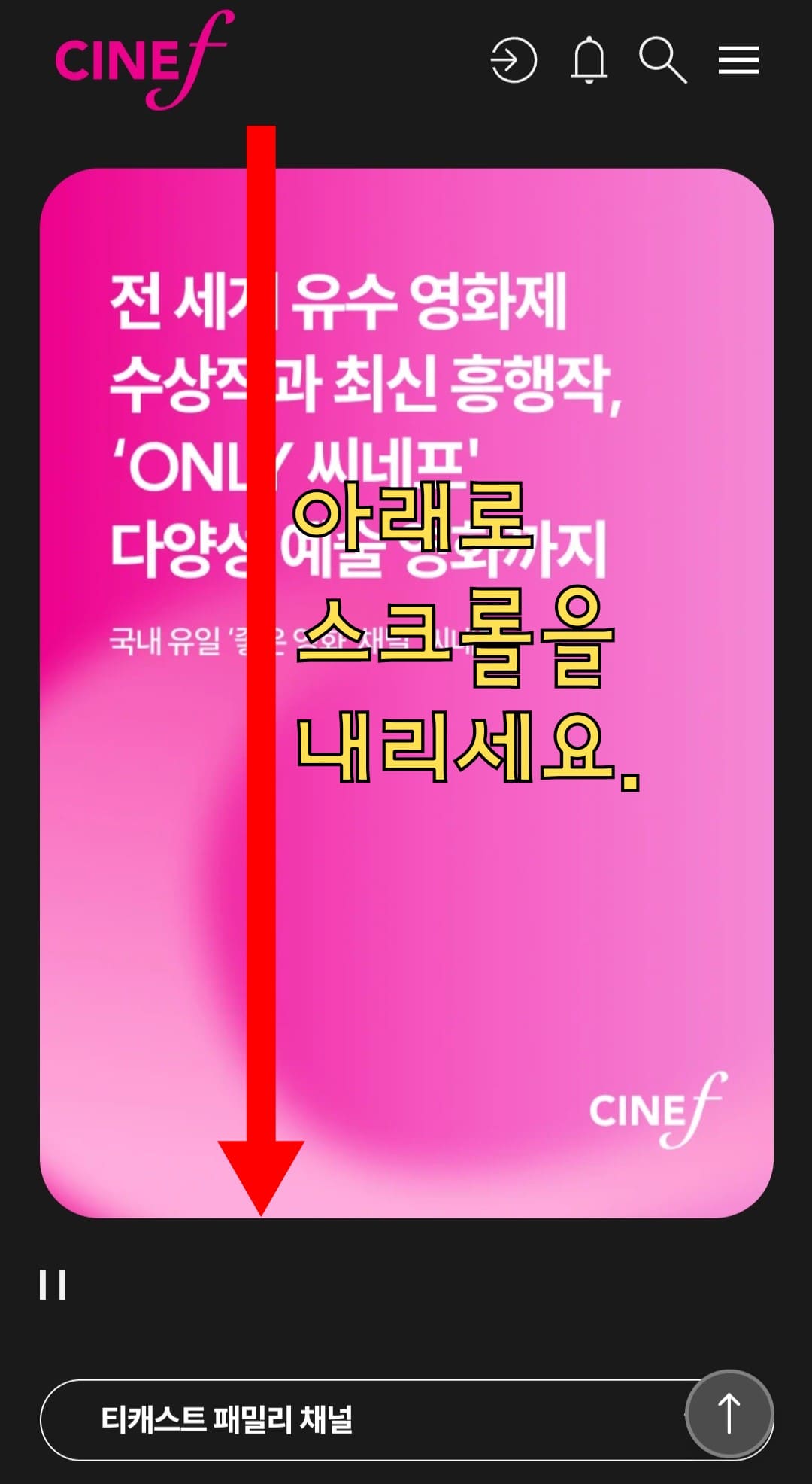 CINEF(씨네프)-편성표-및-채널번호-확인하는-방법-안내-아래로-조금만-스크롤을-내리면-더-많은-정보를-확인할-수-있는데요.