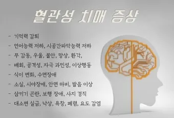 혈관성치매 원인 증상 치료법과 예방 생활습관_11
