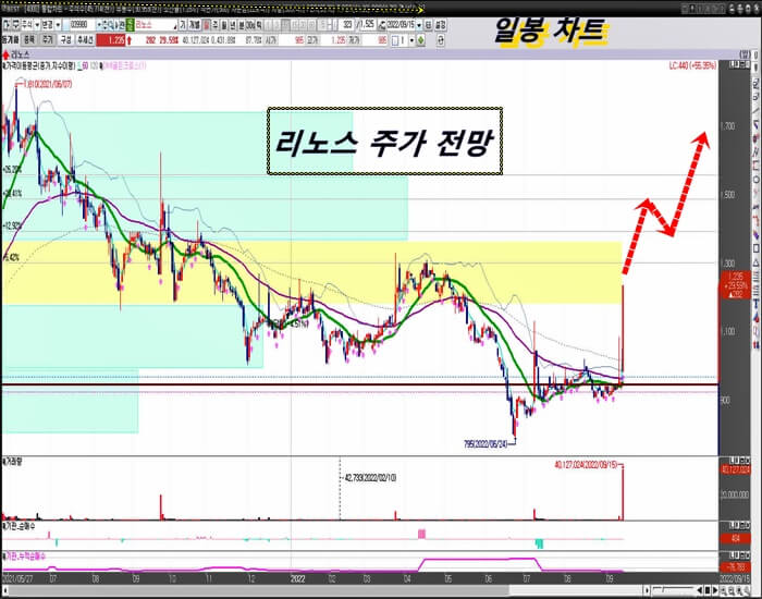 리노스-일-봉-차트