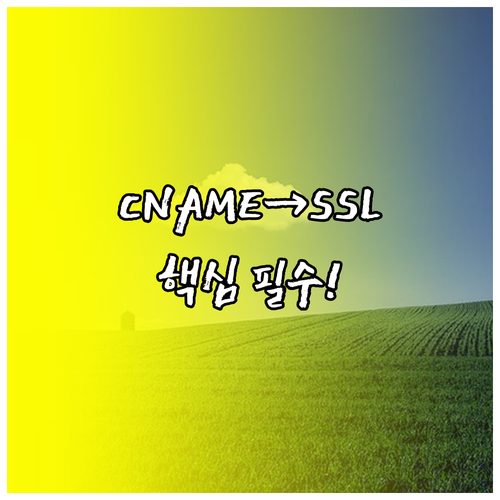 카카오클라우드 CDN CNAME 설정..
