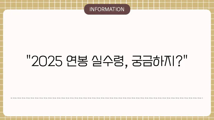 2025년도 연봉실수령액표 세전 3000 5000 8000만원 세후 월급은