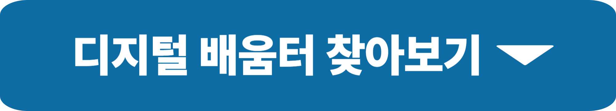 디지털배움터