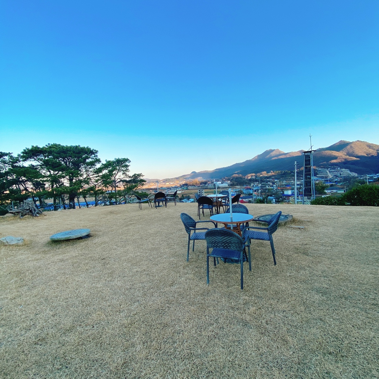 강화도 야생화 뜰 카페