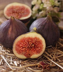 전남 영암 무화과 주문 방법