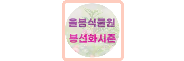 율봄식물원 봉선화 시즌