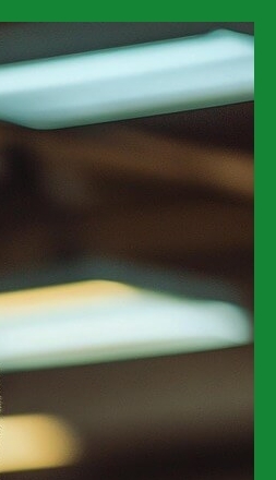 내장지방줄이는법