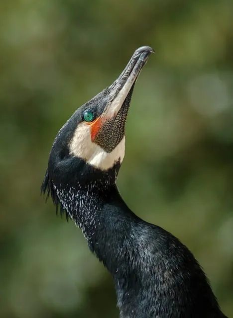 2025 2026 시즌 흥국생명 배구단 선수 명단 및 연봉 계약 FA 외국인 선수 정보 로스터 분석_7