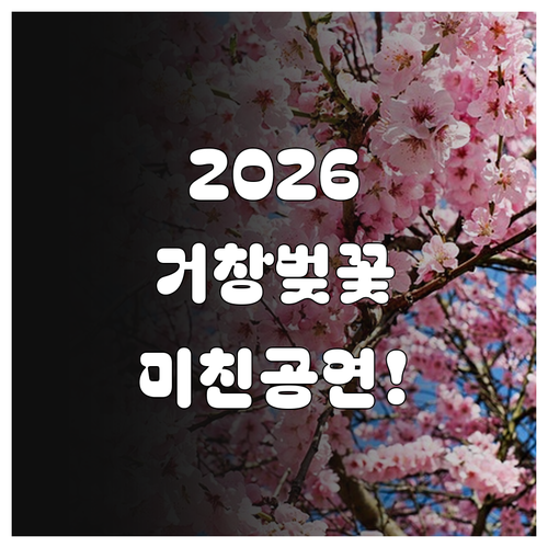 2026 거창 벚꽃 축제 버스킹 공연..