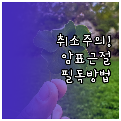 미스트롯4 티켓 부정 거래 적발 시 ..