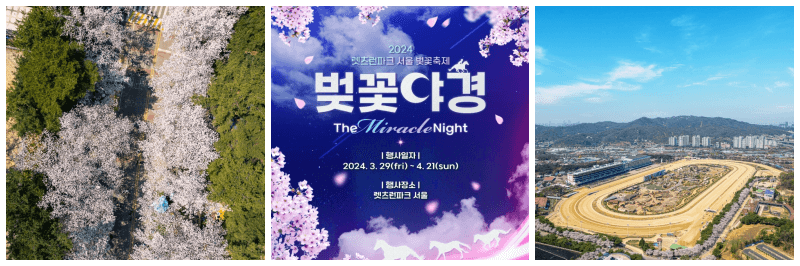 렛츠런파크 서울 벚꽃축제 벚꽃야경 포토&#44; 포스터