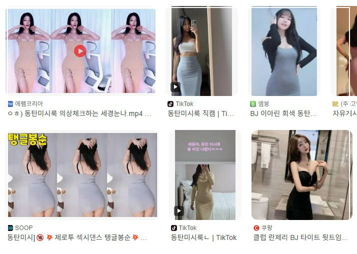 동탄 미시룩 이용한 bj들