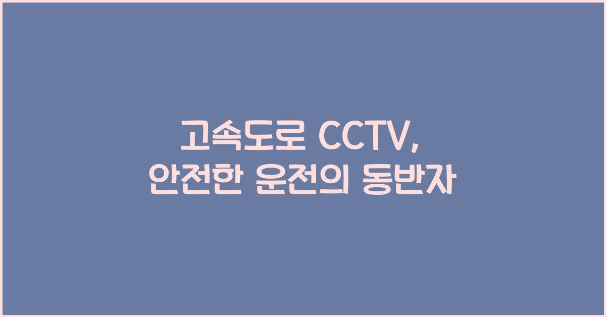 고속도로 cctv