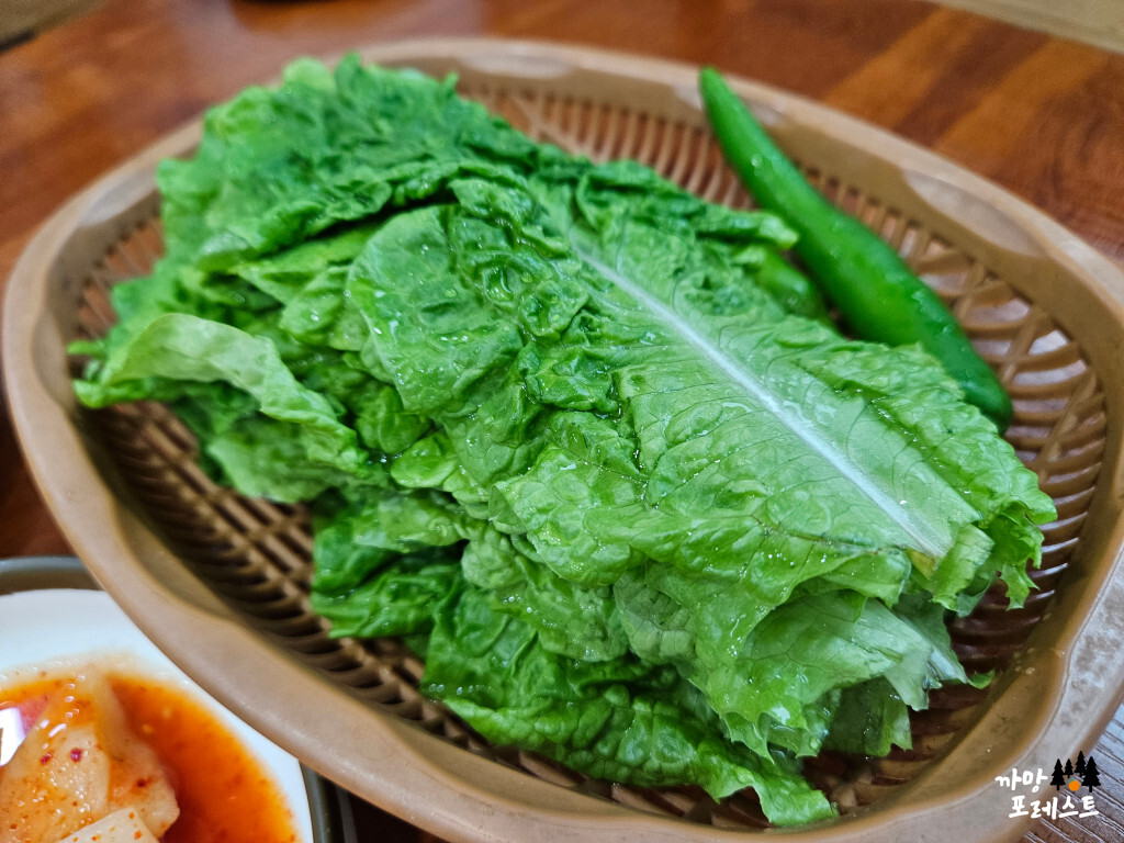 제주 녹색 식당 상추