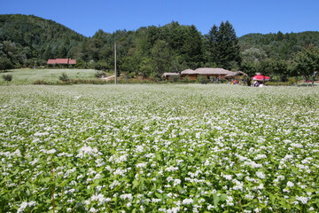 가정의 달 5월&amp;#44; 가족과 함께 떠나기 좋은 국내 여행지 추천 7곳