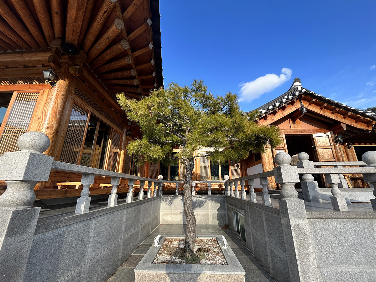 울주군 언양 한옥 카페 농도