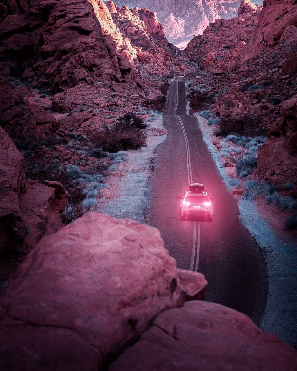 보은 벚꽃길 축제 렌터카